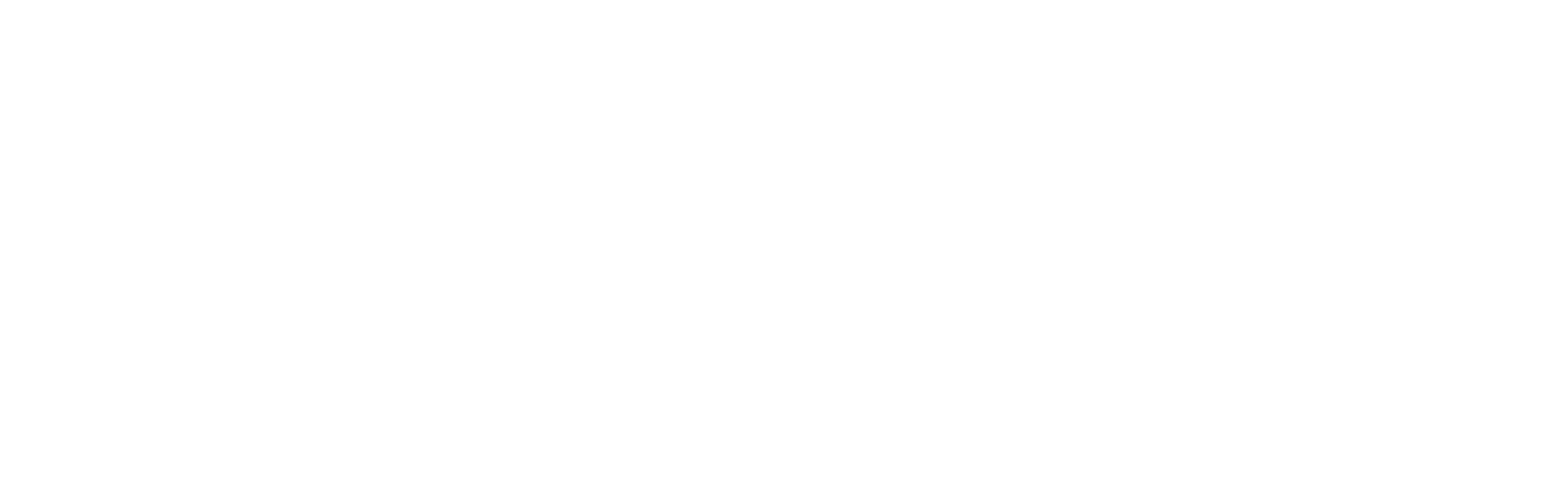 Digital Luxury Group